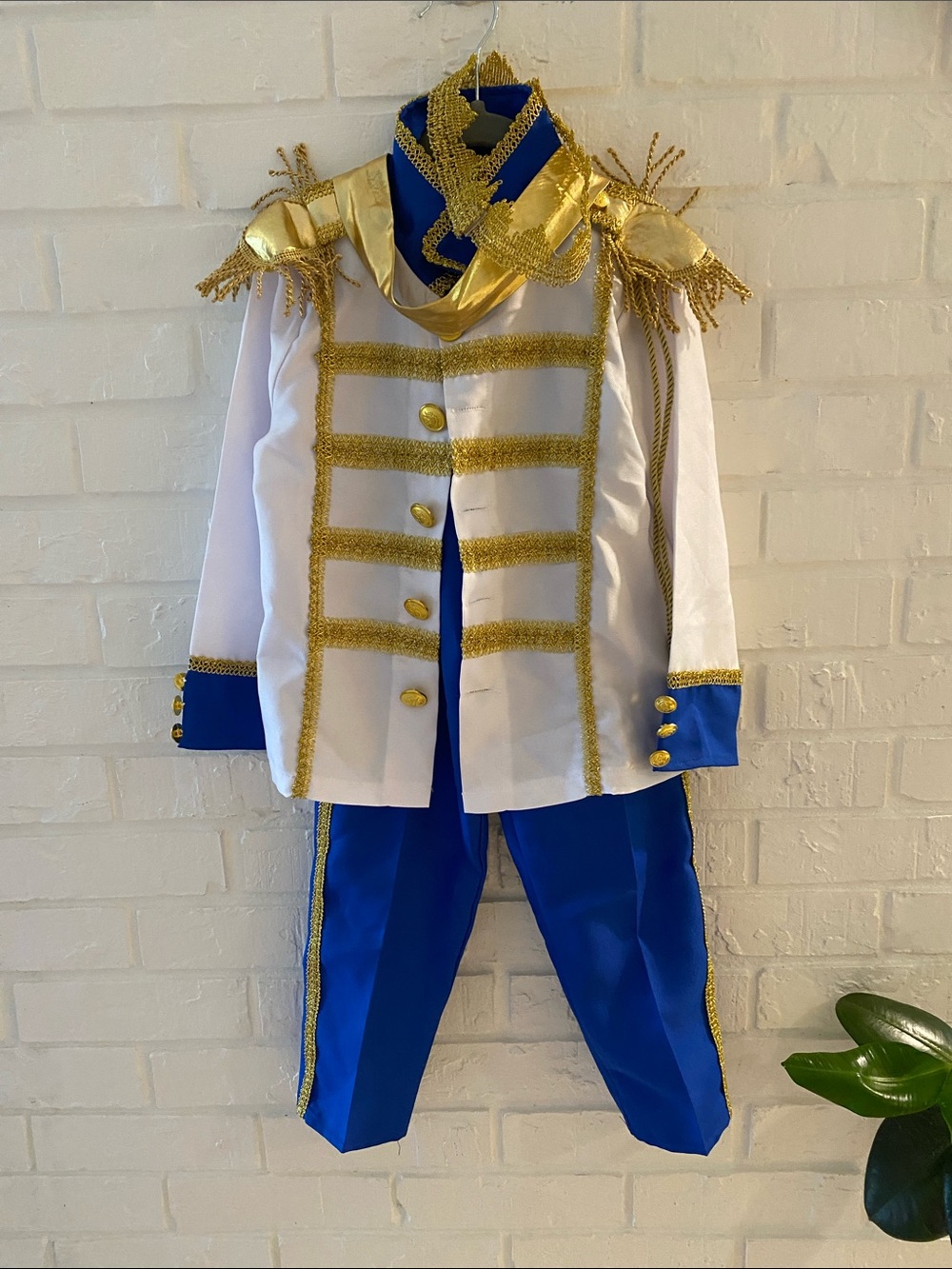 Prince Costume